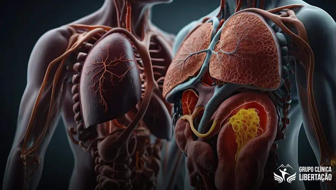 Processo de desintoxicação química: entenda o que acontece no seu corpo